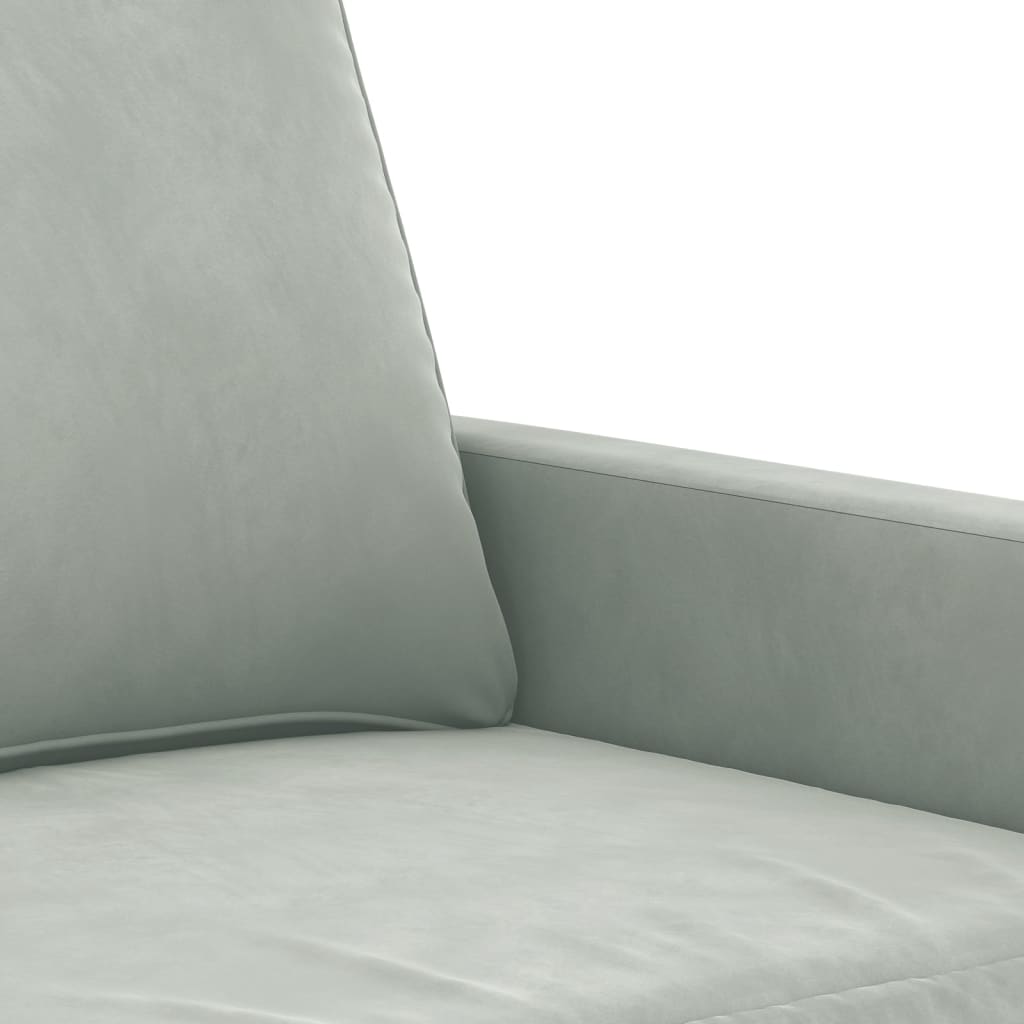 2 pcs sofa set with light grey velvet cushions