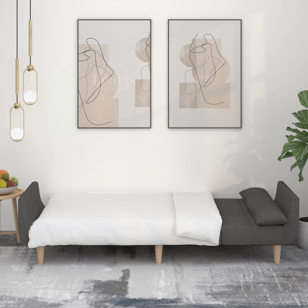 2-seater sofa bed with two cushions in dark grey fabric