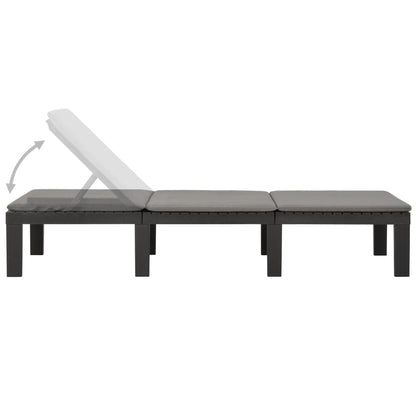Deckchair with anthracite plastic cushion