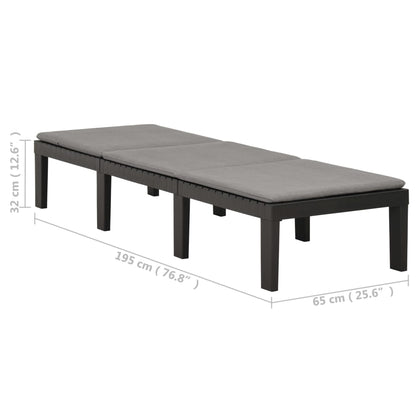 Deckchair with anthracite plastic cushion