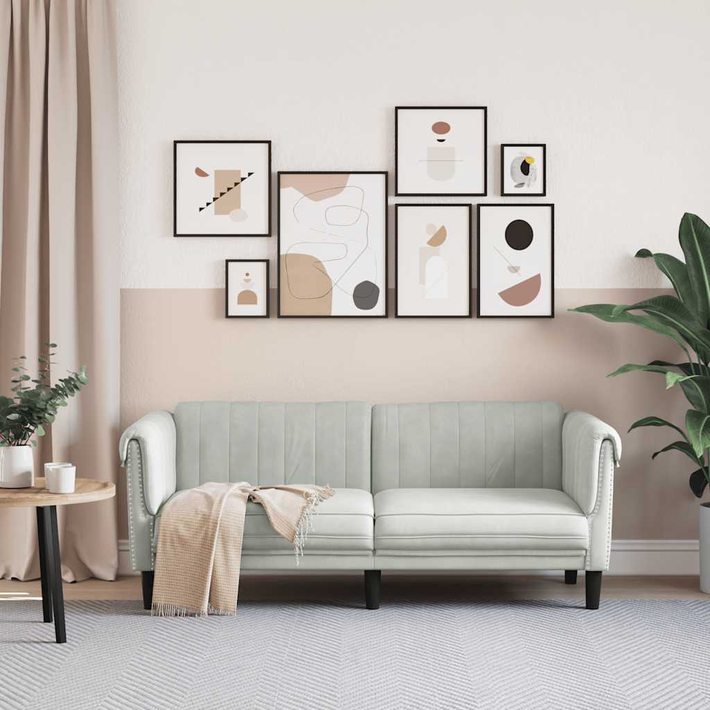 Light grey velvet 2-seater sofa