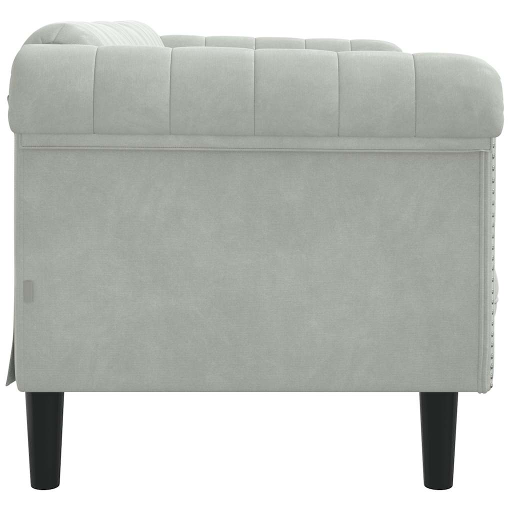 Light grey velvet 2-seater sofa