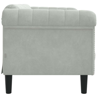 Light grey velvet 2-seater sofa