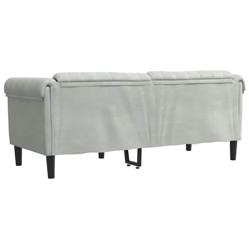 Light grey velvet 2-seater sofa