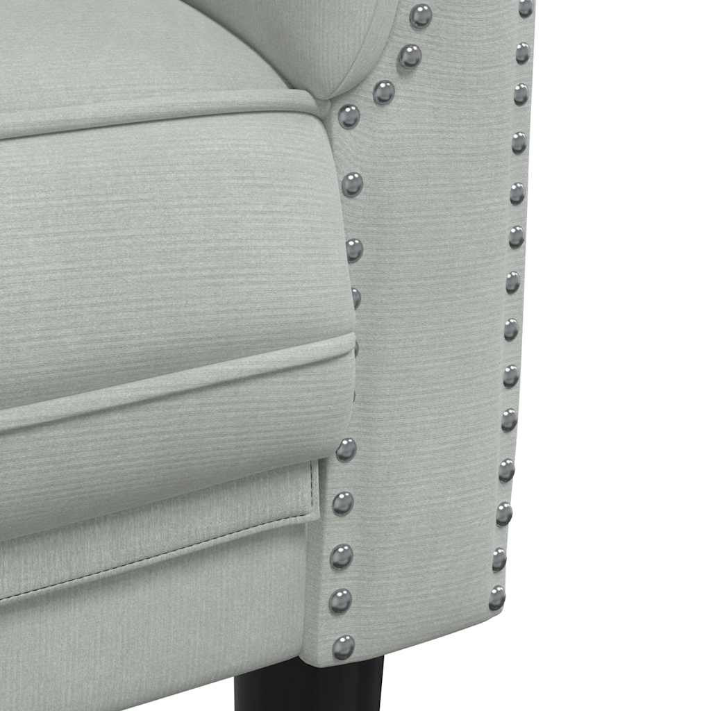 Light grey velvet 2-seater sofa