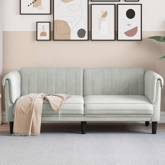 Light grey velvet 2-seater sofa